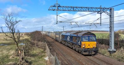 Freight locomotive 66429 working 4D01