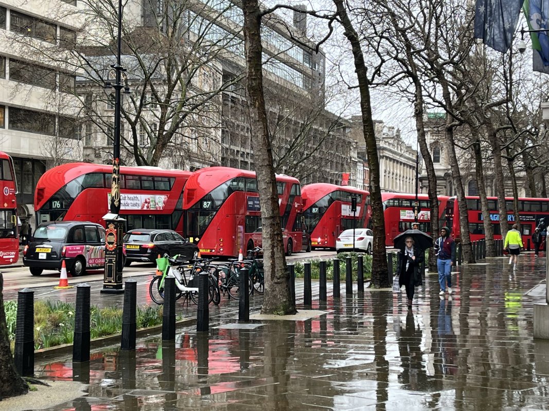 Nose to tail queue of London buses
